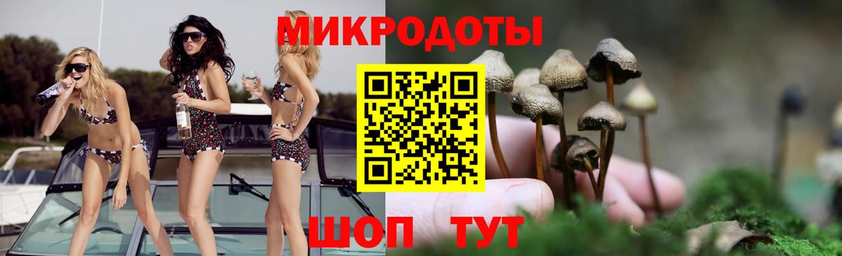 Псилоцибиновые грибы мицелий Феодосия